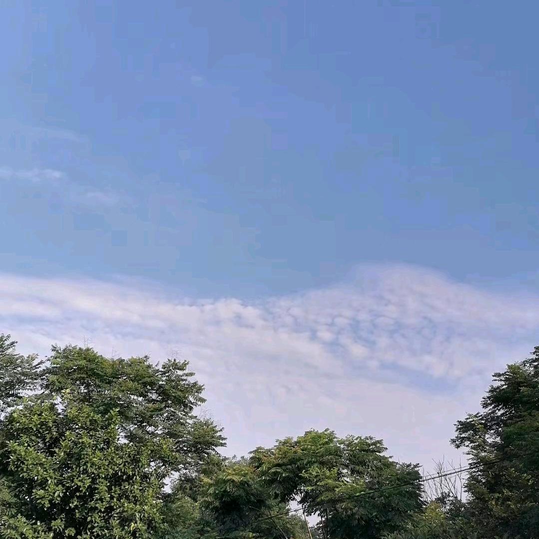 添天快乐