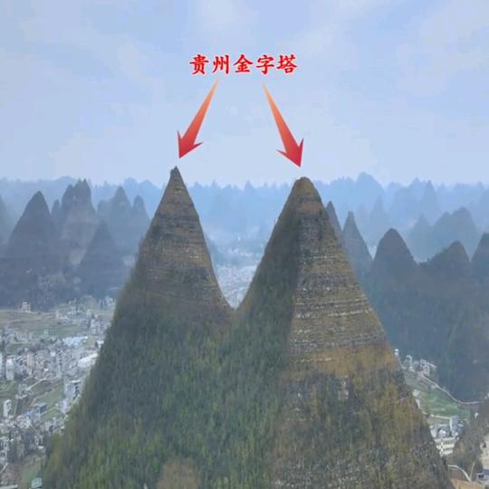 聚风头像