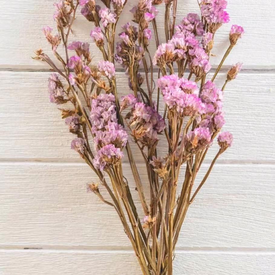 锾俊………嘛嘛