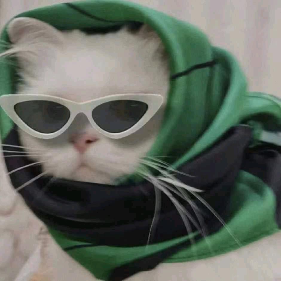 华丽的牛角包