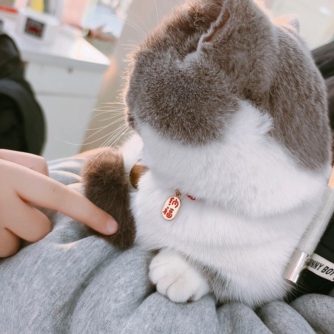 小妖的城堡