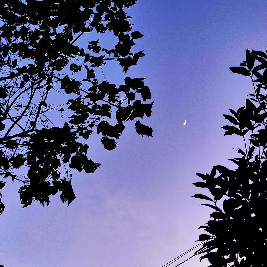 万鑫物业御景东方🏘客服