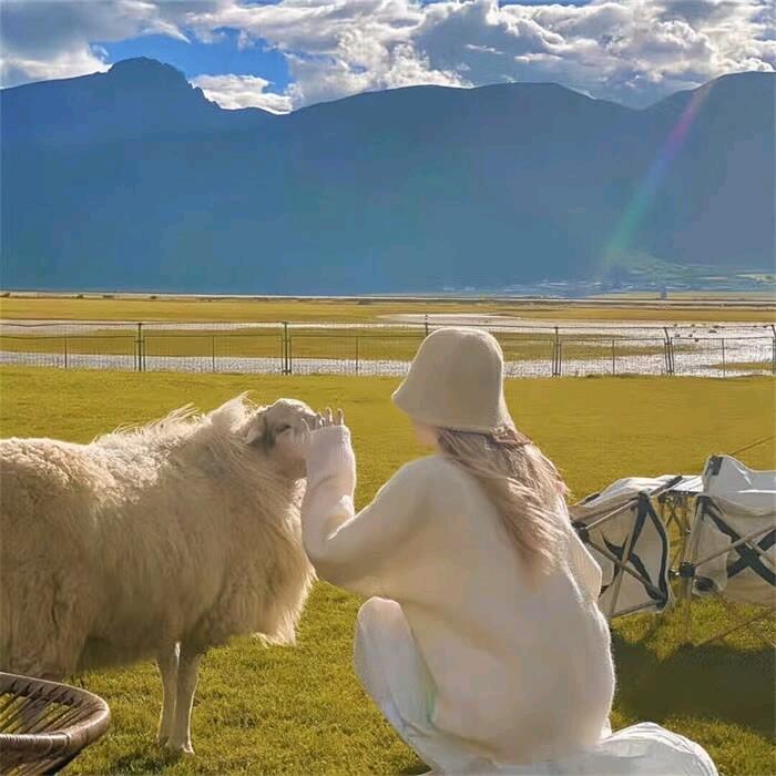 阿荧天天开心