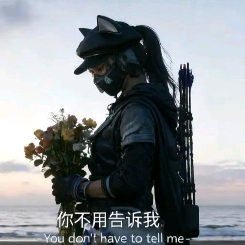 激进的冒险鱼(三角洲行动)