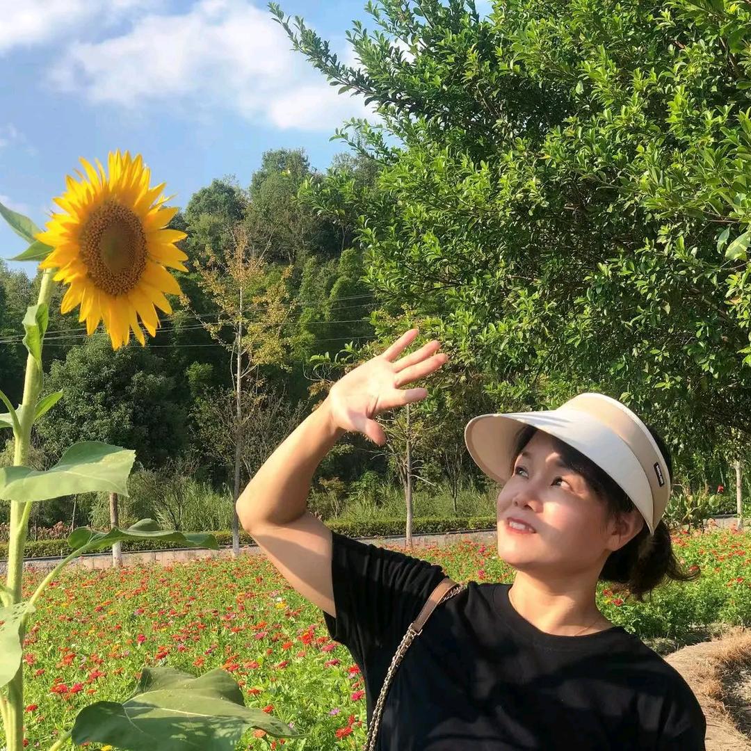 K9自助台球官方号