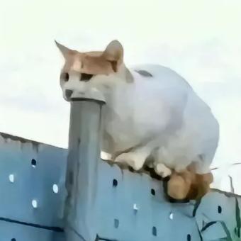 连续