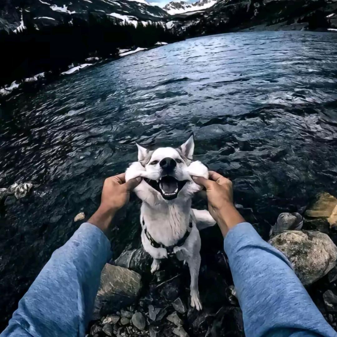 枕山忧