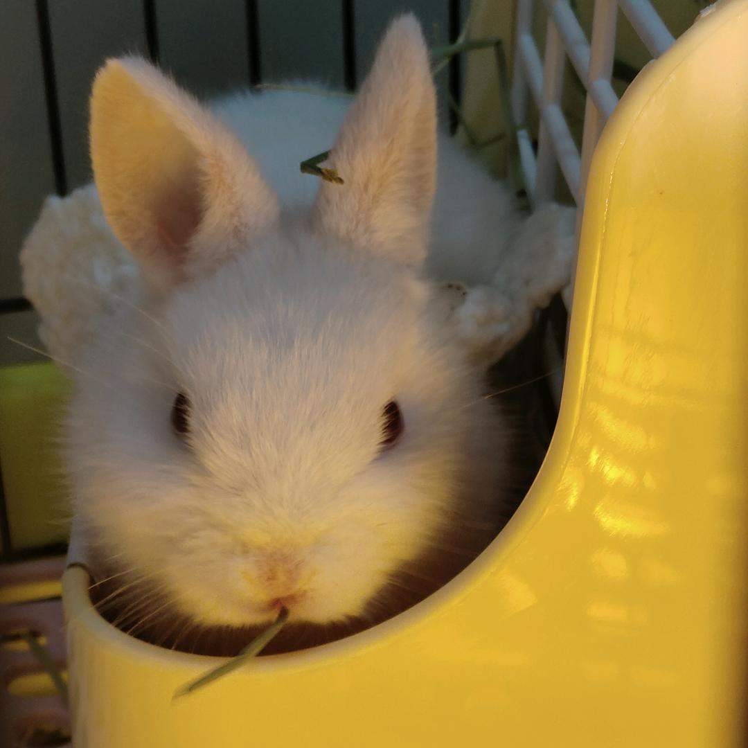 媛❤️