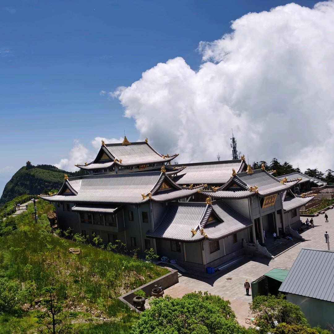 爆杆小鱼🐠🐠🐠