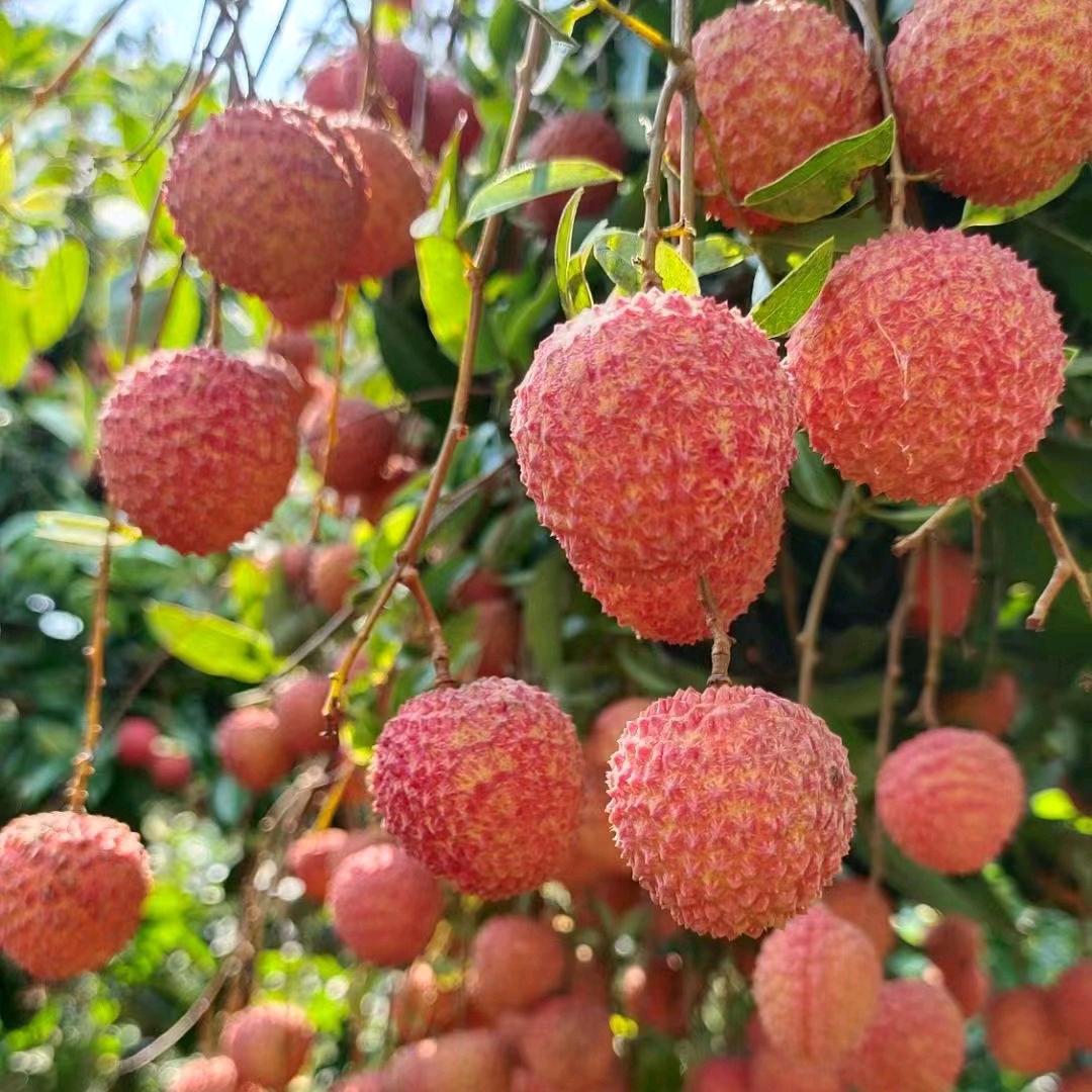 上善若水6