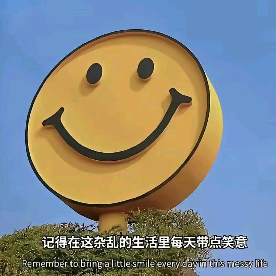 克里斯蒂亚诺、罗纳尔多