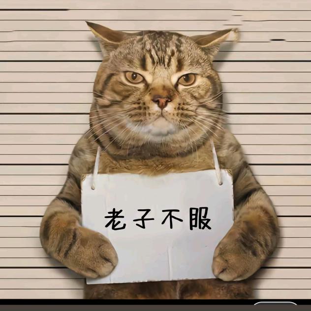 搬石头的剑哥哥