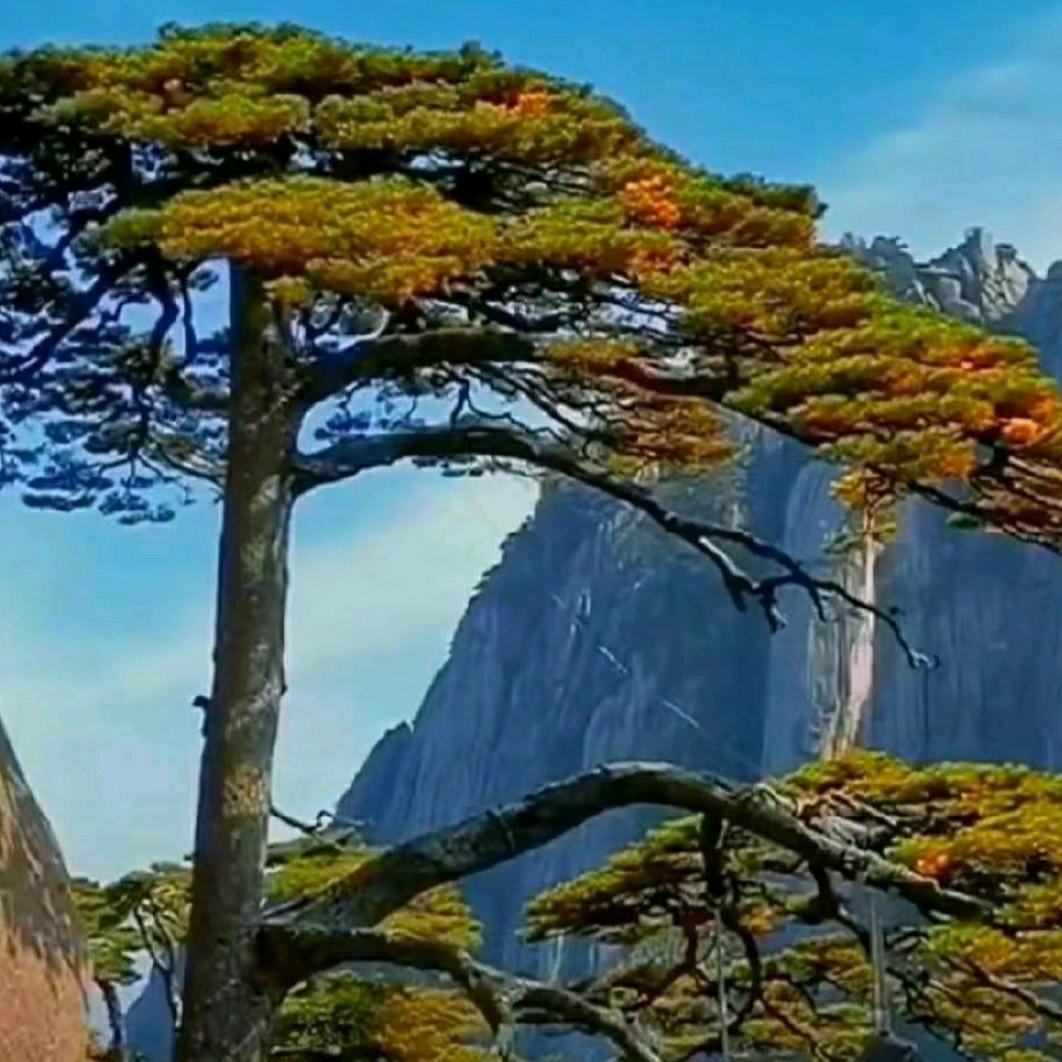 开开(