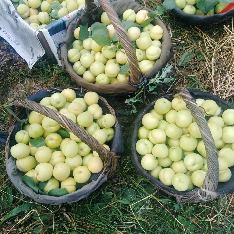 好鲜优生鲜