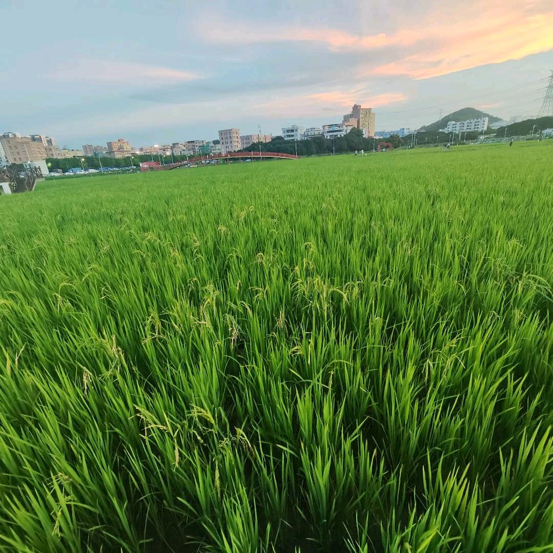 小宝贝露露