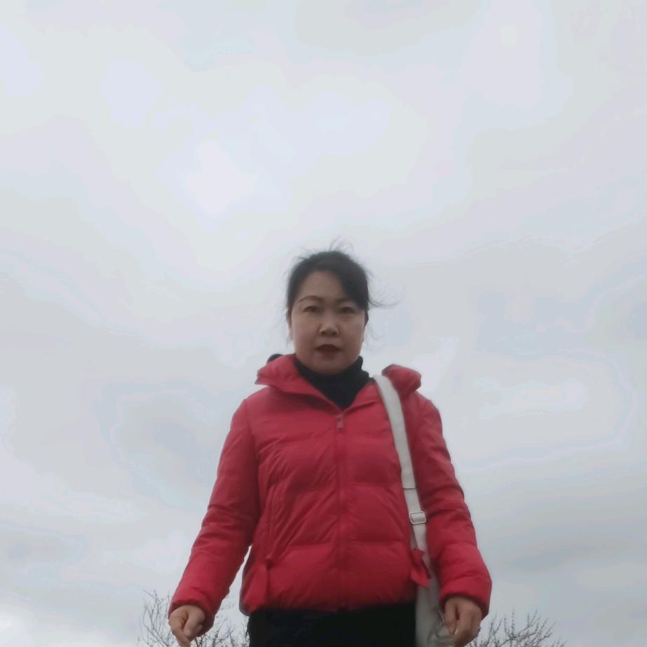 橙心如意