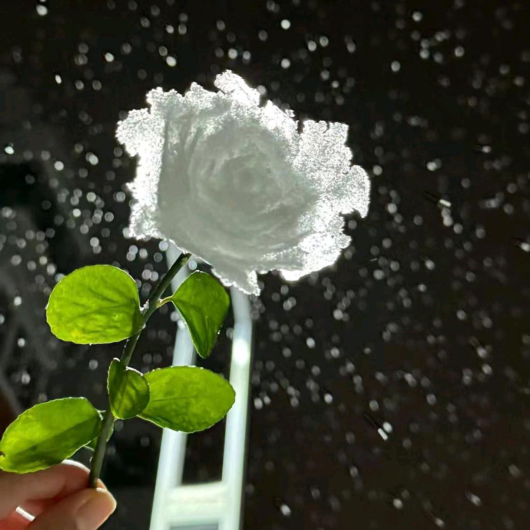 🌸🌸