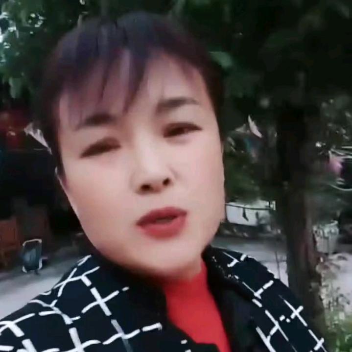 琴姐