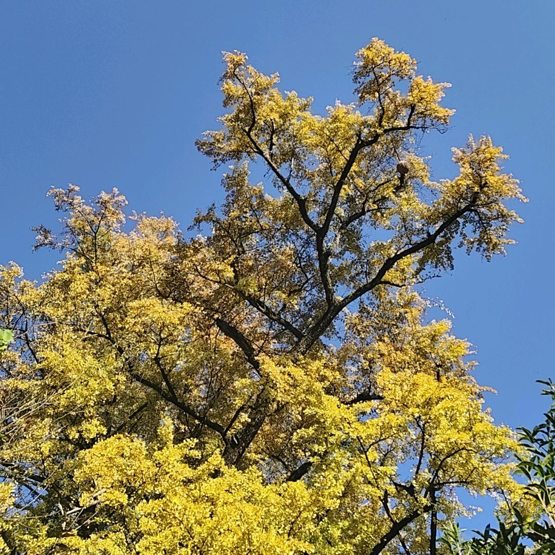 南柯一梦终须醒浮生若梦皆是空