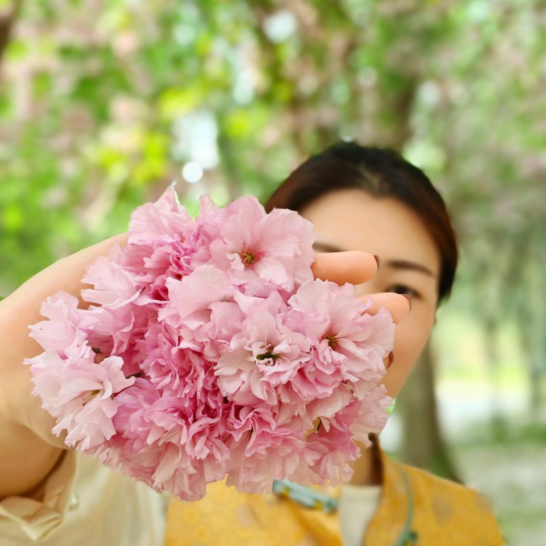 中年少女🌸🌸