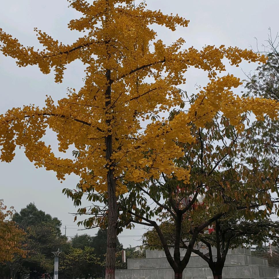 💘💘我命有你💘💘