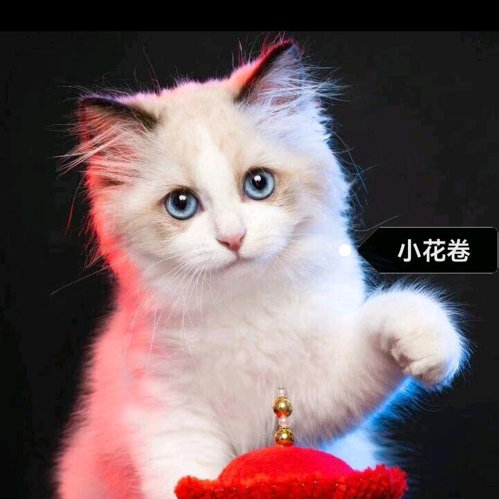 ..あ洲ジ洲