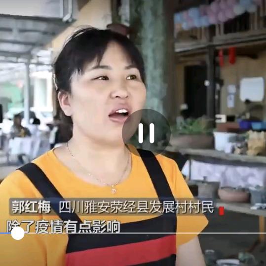 龙苍景园红梅姐