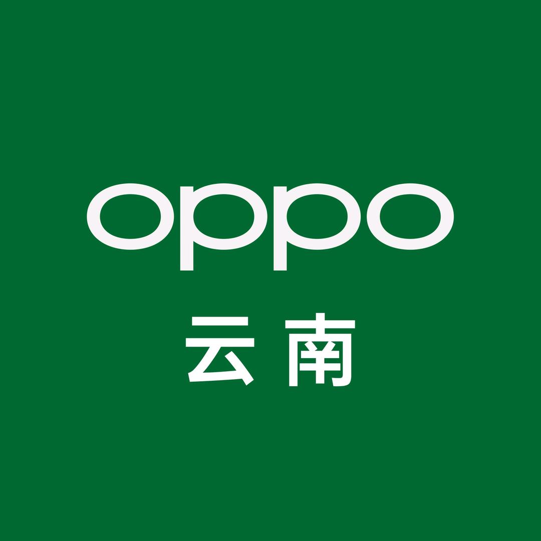 弥渡OPPO体验店