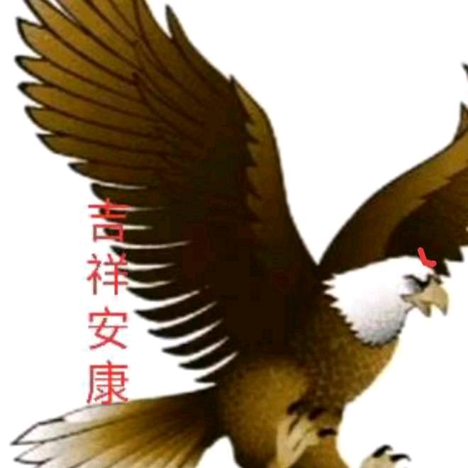 伟岸的天地