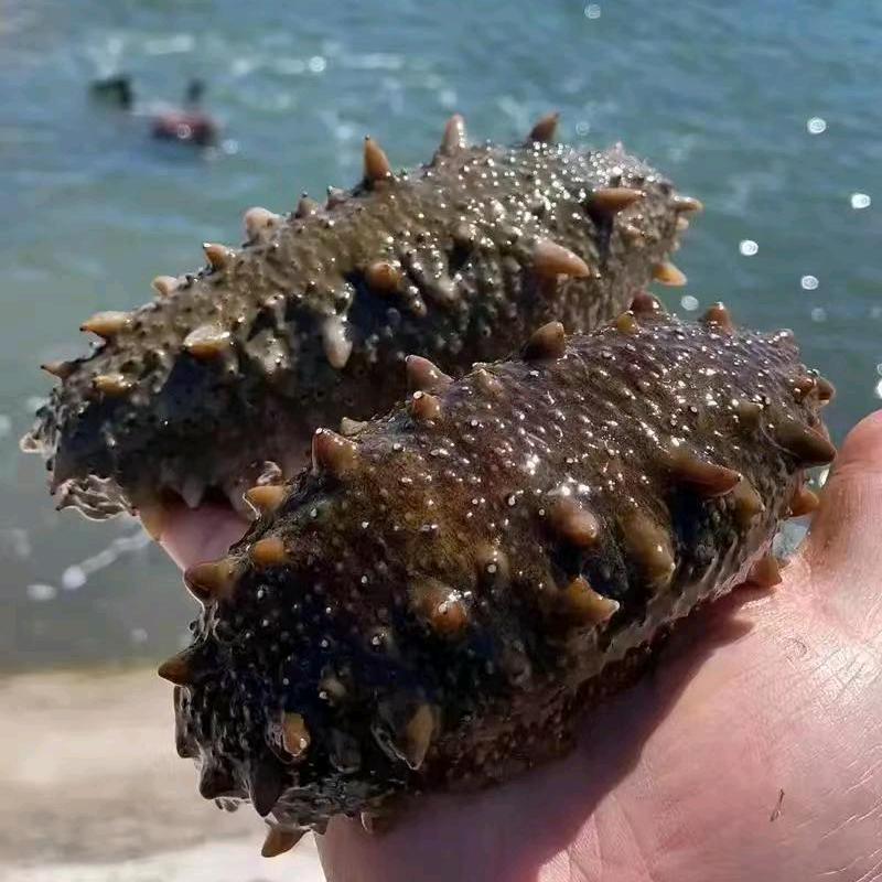 生鲜食品折扣仓