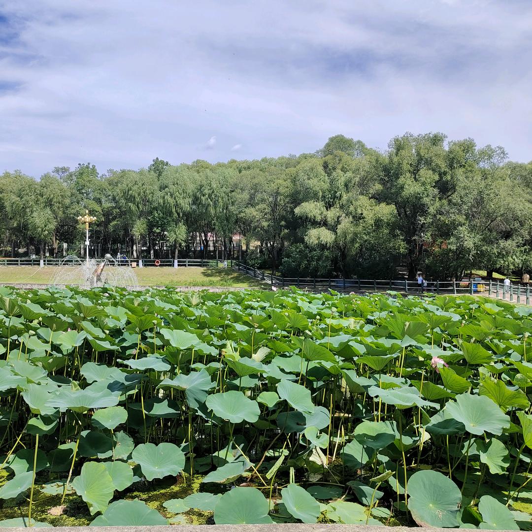 保洁，嵌缝，美缝，陈