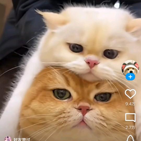 吴哈哈
