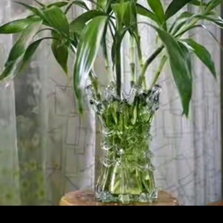 时间会证明一切