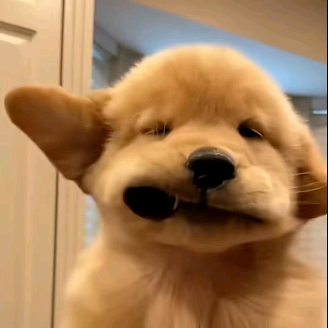 超超啊