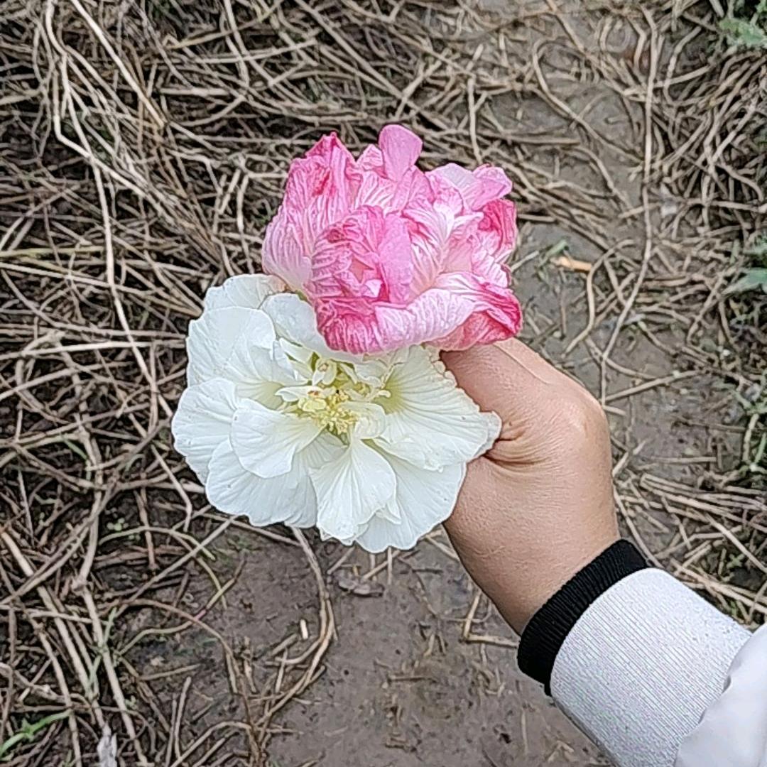 Y💝1760787274☘️