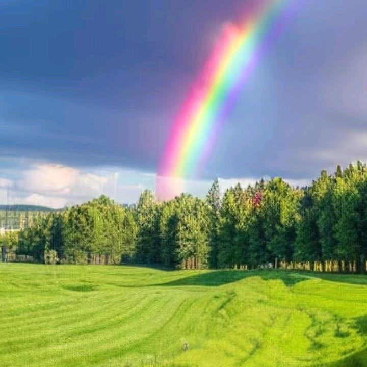 雨后彩虹🌈