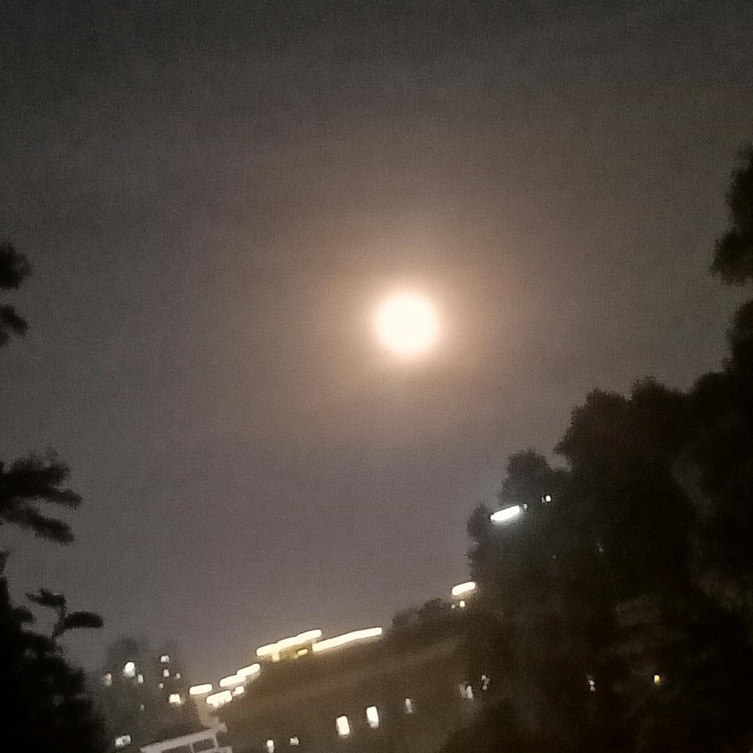 用户3643346693602何姐