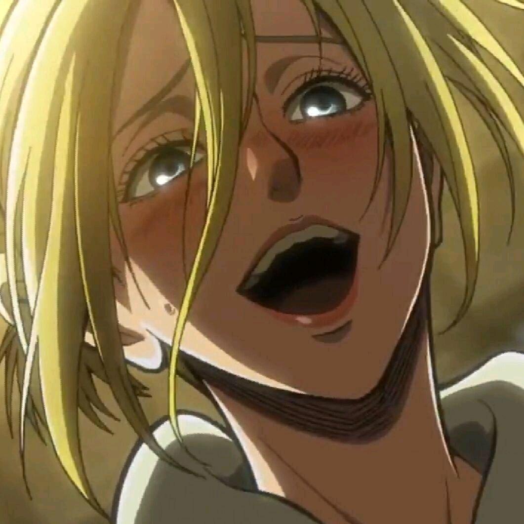 爱吃西瓜的绿萝