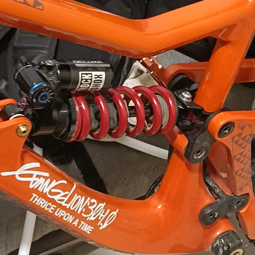 李通 MTB（康复版）