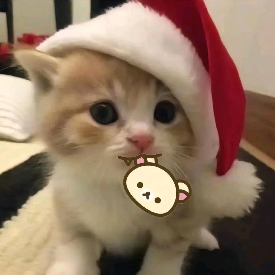 盍旎西零售生活创意屋