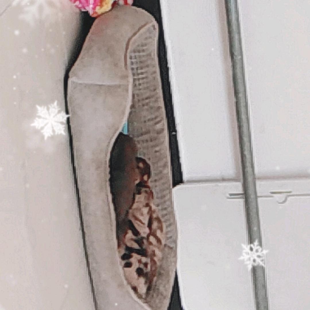 点点是个小腊肠