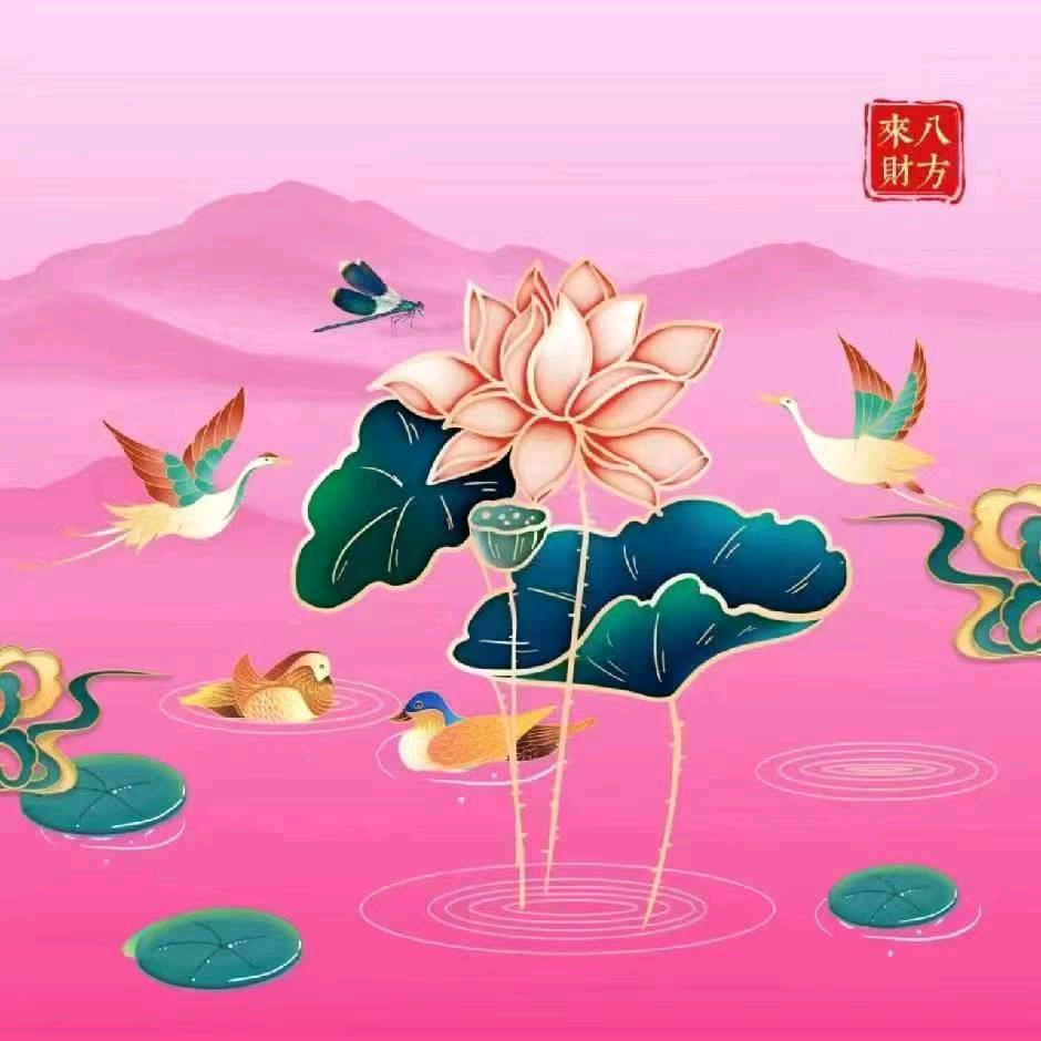鑫🌸鑫