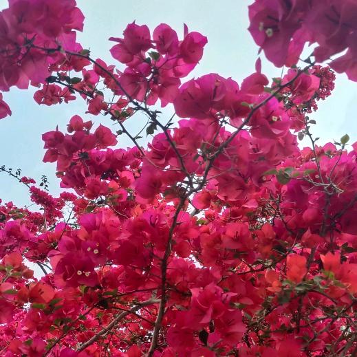 一帆风顺👄💋