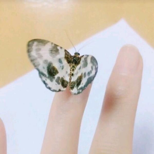 苦尽甘来