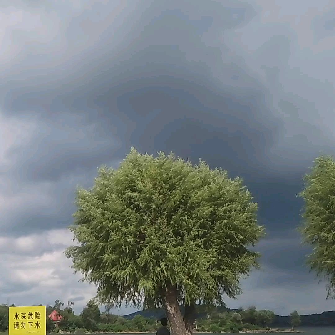 山月知我意，星辰共我寻。余生良辰铺锦，岁