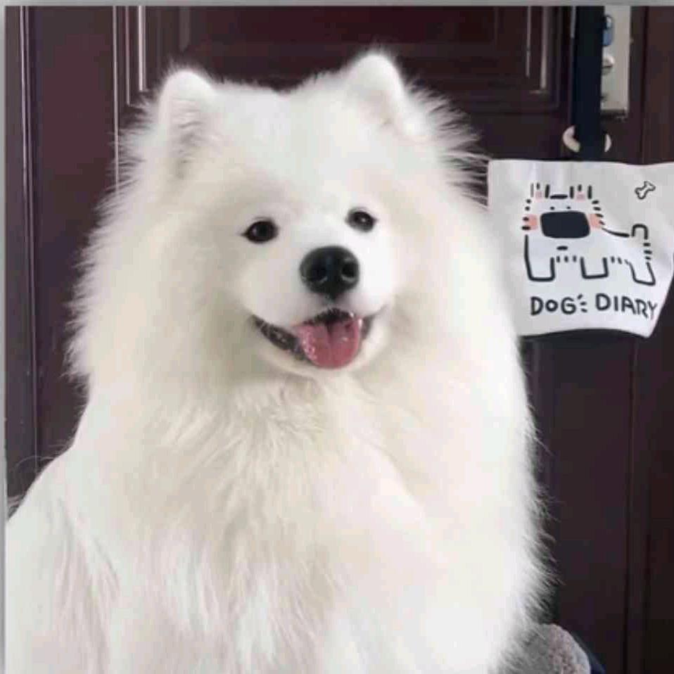 明天见.