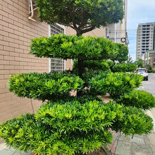 用户8558122095193