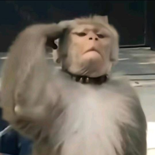 ii