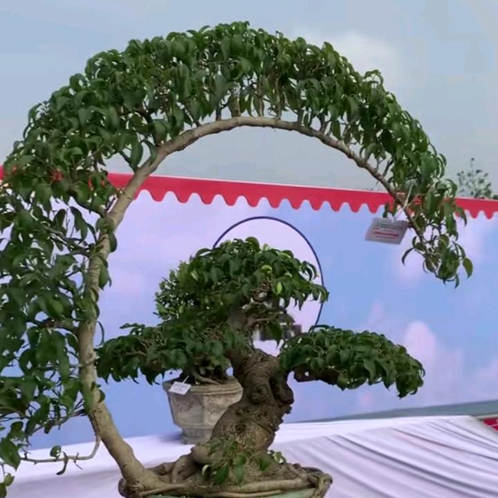 周边游～㞮孞