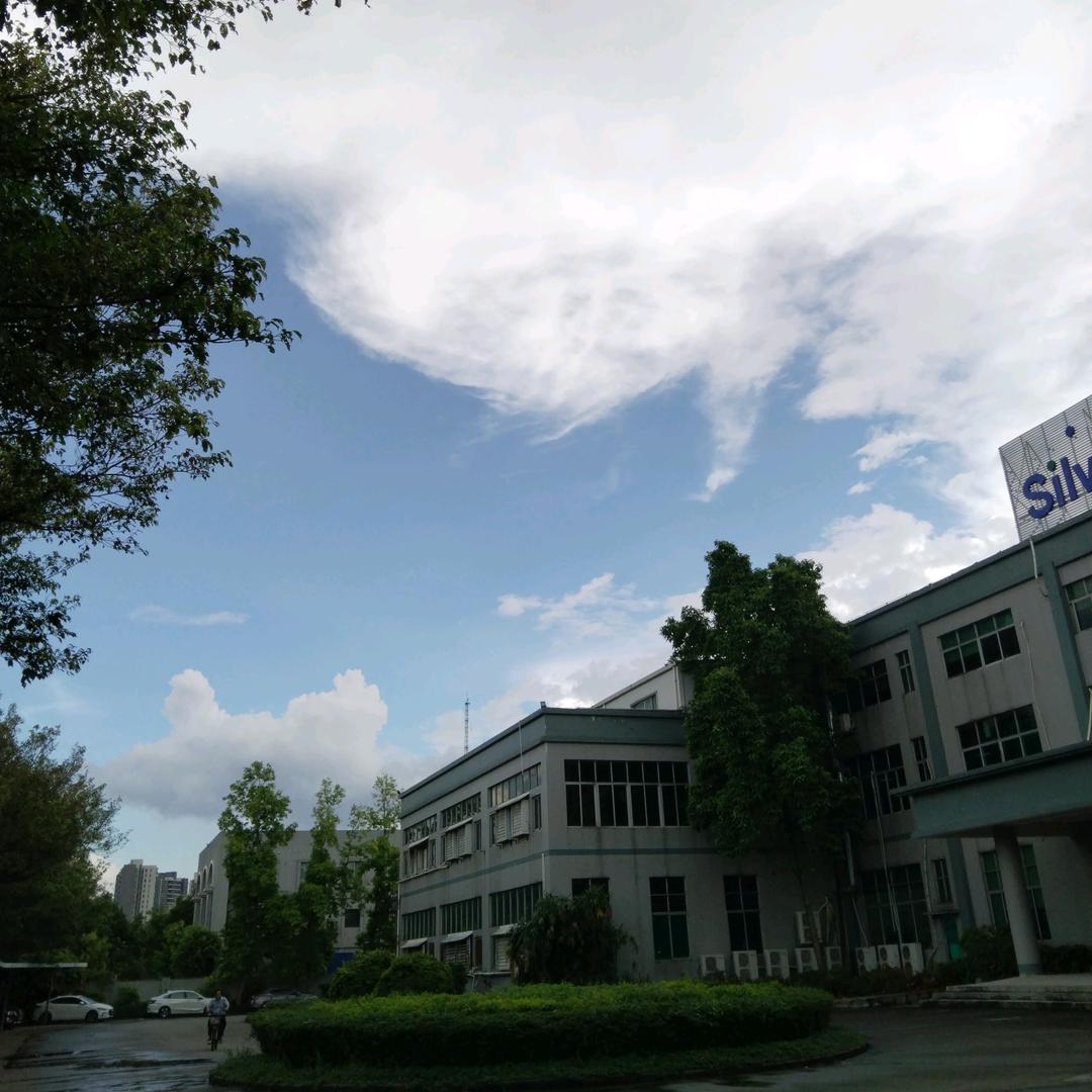 须尽欢